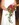 Brautstrauß Brautsträuße Blumenstrauß Blumensträuße Blumen Ybbsitz Waidhofen